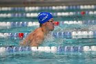 Swimming & Diving vs Babson  Swimming & Diving vs Babson College. - Photo by Keith Nordstrom : Wheaton, Swimming